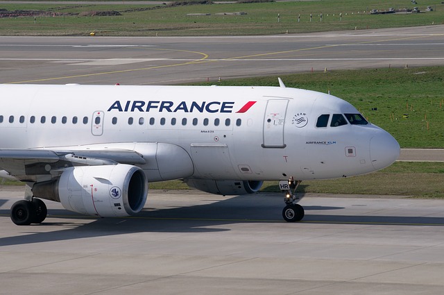 air france air france paris hostess