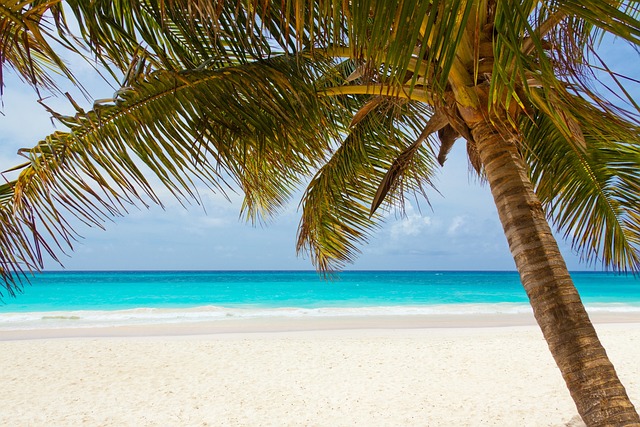 bahamas vacation  caribbean