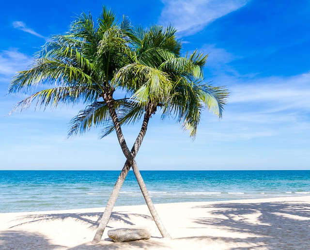 last minute barbados caribbean barbados vacation