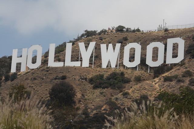 los angeles mazzamurro influencer los angeles vacation