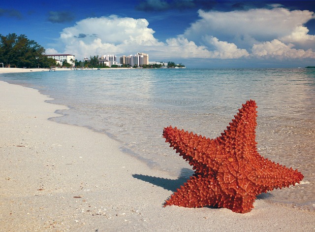 last minute repubblica dominicana caraibi repubblica dominicana vacanze