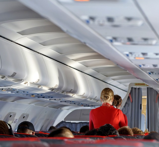 Assistente di volo Assistente di volo hostess